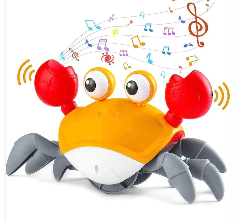 CANGREJO BAILARÍN 🦀